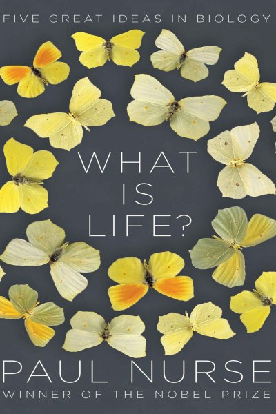 حیات چیست؟